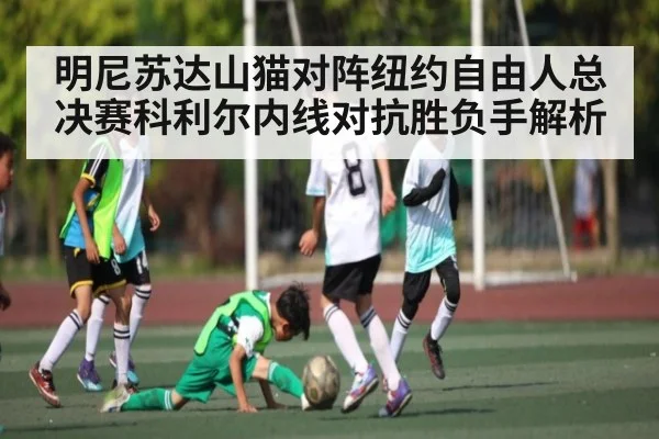 明尼苏达山猫对阵纽约自由人总决赛科利尔内线对抗胜负手解析